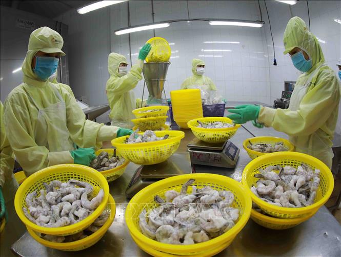 Xuất khẩu thủy sản có khả năng sẽ cán mốc 11 tỷ USD