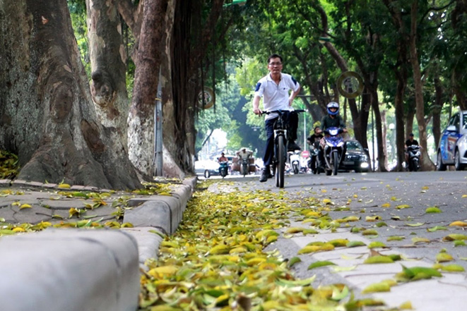 Thời tiết ngày 28/11: Bắc Bộ trời nắng trước khi đón không khí lạnh gây rét đậm, rét hại