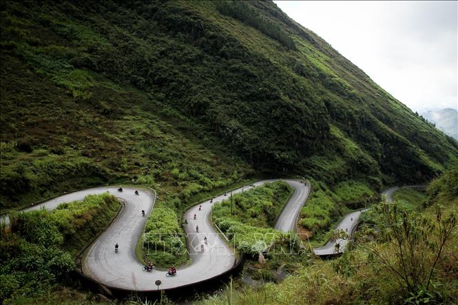 Hà Giang mùa hoa tam giác mạch