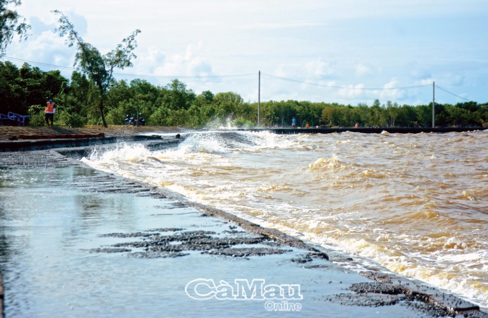 Cà Mau: Tập trung ứng phó thiên tai