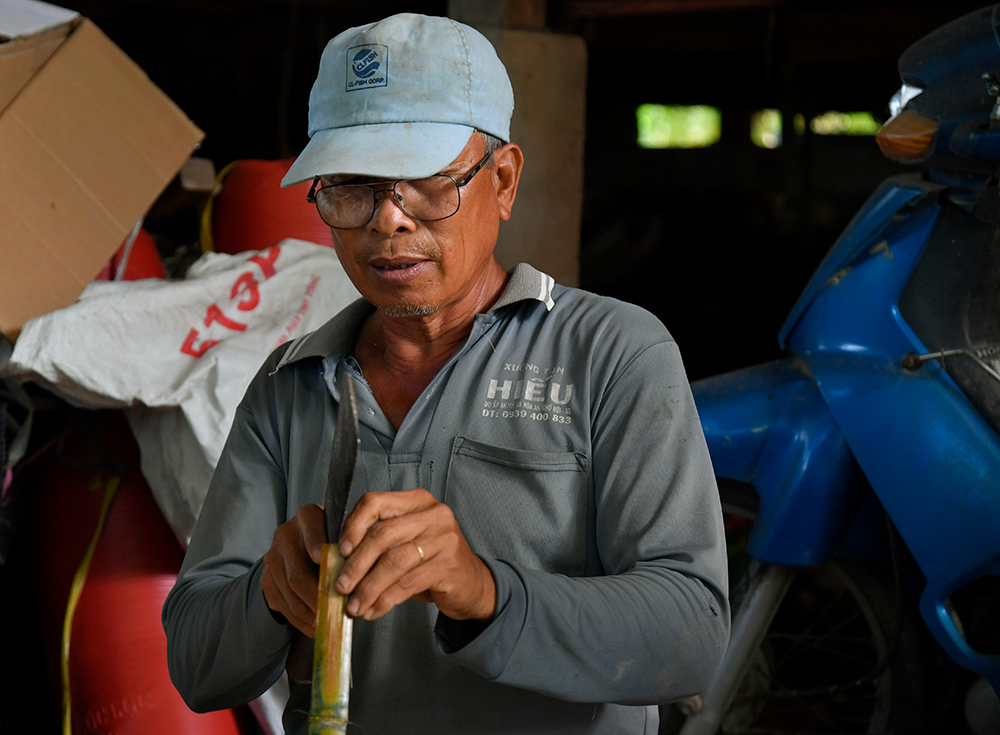Chờ mùa hoa Tết