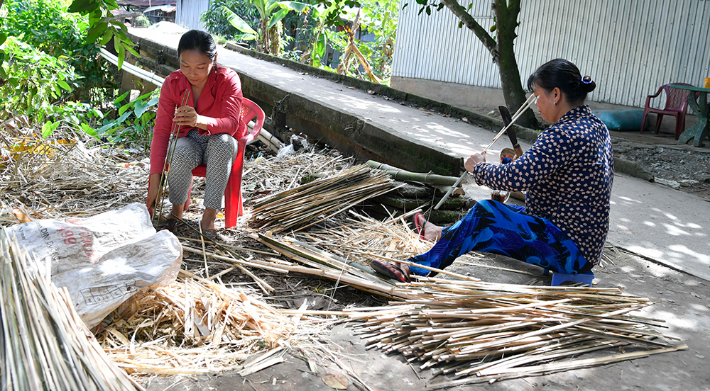 Chờ mùa hoa Tết