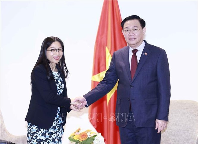 Hợp tác Việt Nam-New Zealand: Thương mại-đầu tư là trụ cột quan trọng