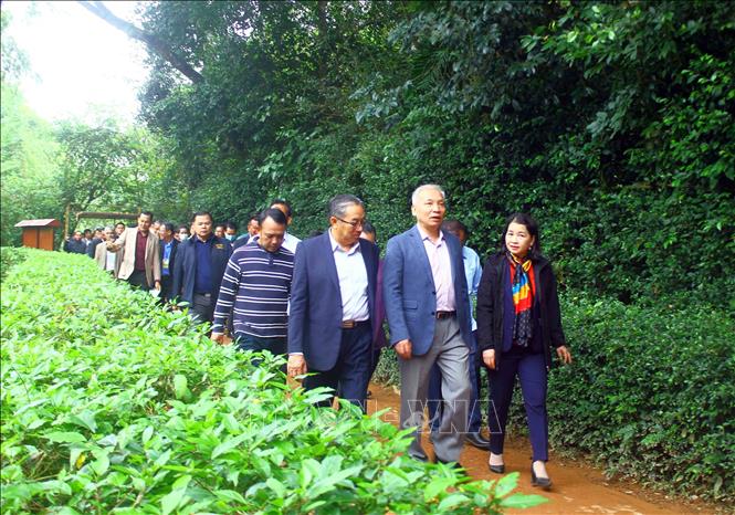Trưởng bản tiêu biểu Việt - Lào xúc động khi thăm quê Bác Hồ