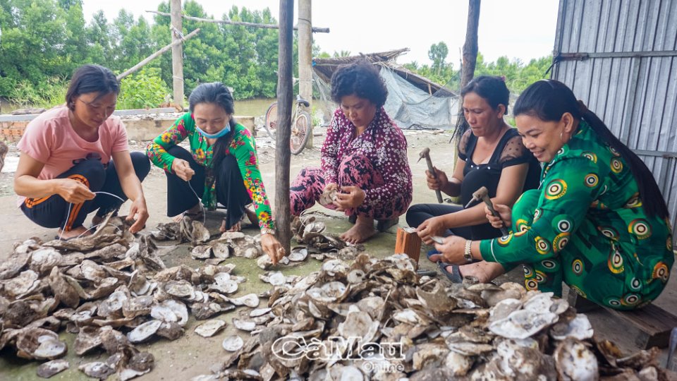 Cà Mau: Thêm thu nhập từ gia công vỏ hàu