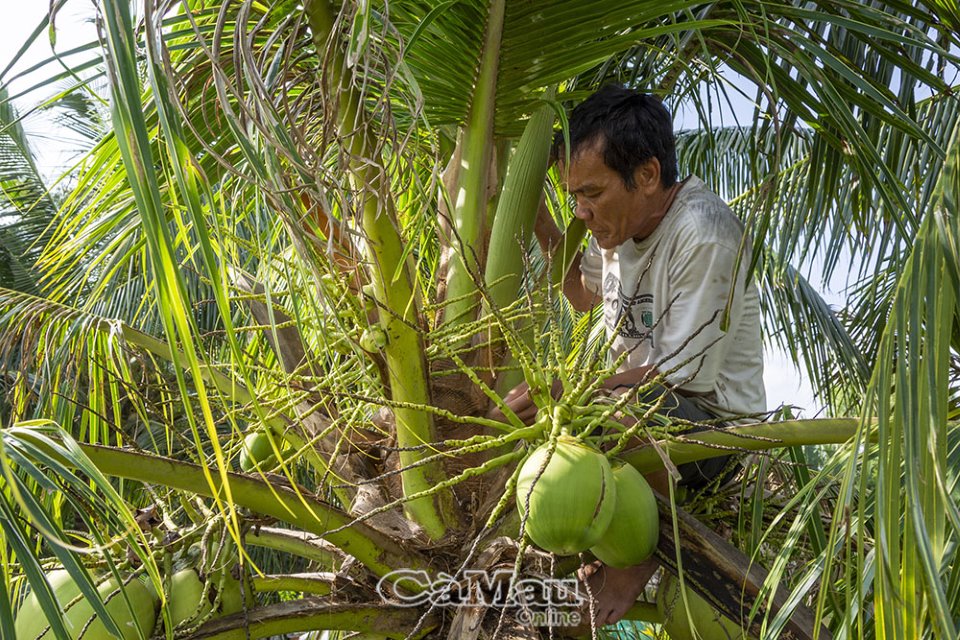 Nghề “kén” người