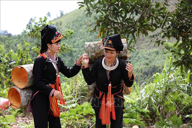 Nhìn lại năm 2022: Sáu Nghị quyết của Bộ Chính trị về phát triển Vùng: Tạo không gian phát triển mới