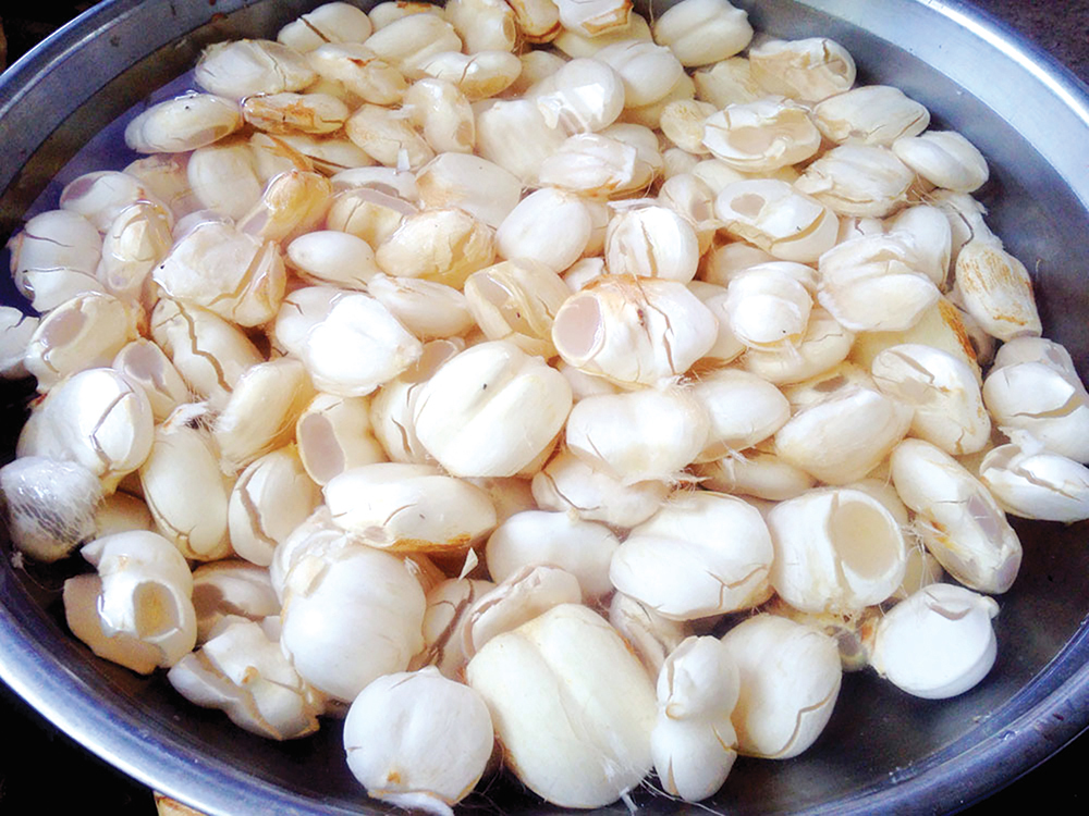 Đặc sản vùng Bảy Núi