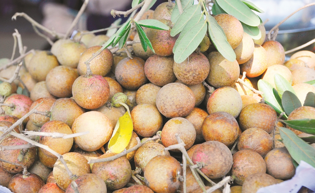 Châu Phú với những “điểm sáng”