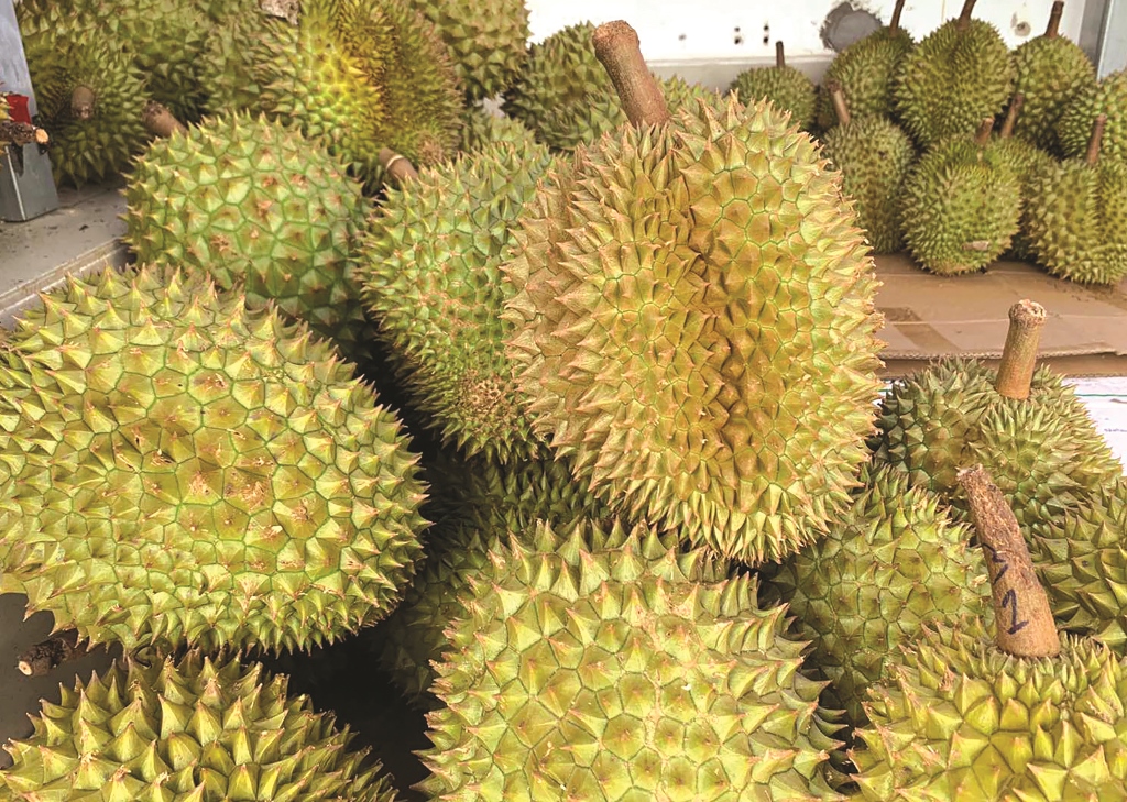 Châu Phú với những “điểm sáng”