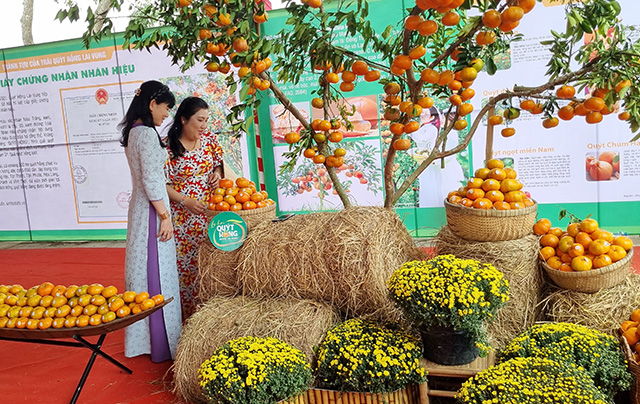 Một chuyến về thăm quê