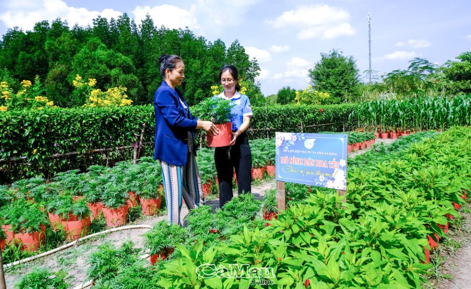 Hoa xuân trên đất mặn