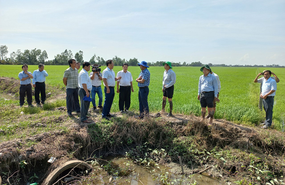 Phó Chủ tịch UBND tỉnh An Giang Trần Anh Thư thăm đồng trước Tết
