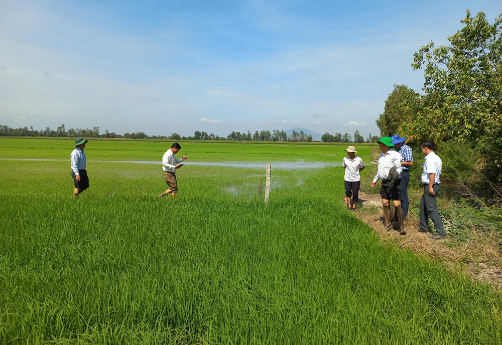 Phó Chủ tịch UBND tỉnh An Giang Trần Anh Thư thăm đồng trước Tết