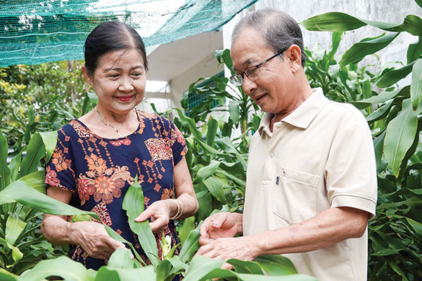 Cần Thơ: Phát tài trổ bông