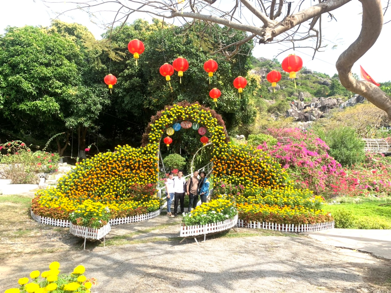 Dòng “thác hoa” mang Xuân về cho đồi Tức Dụp