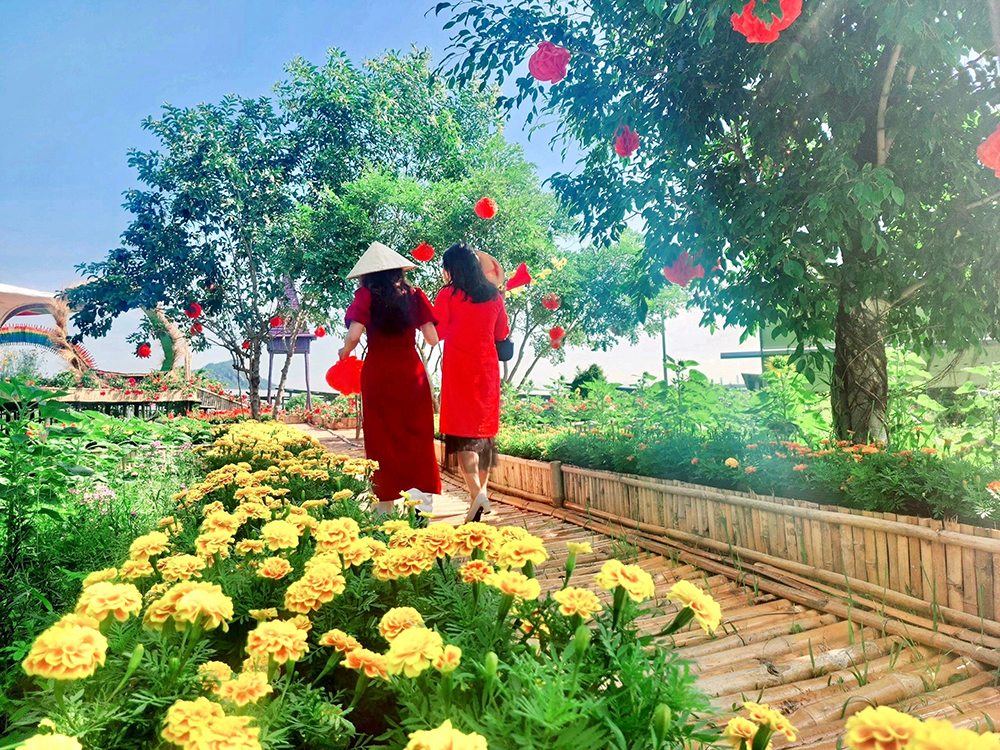 Áp xanh trỗi khúc chào Xuân!