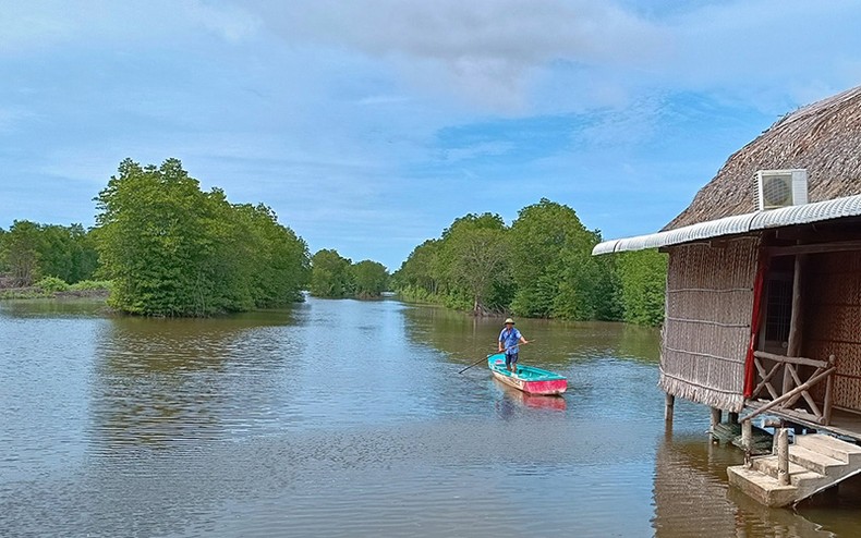 Du lịch sinh thái rừng ngập mặn nơi Đất Mũi