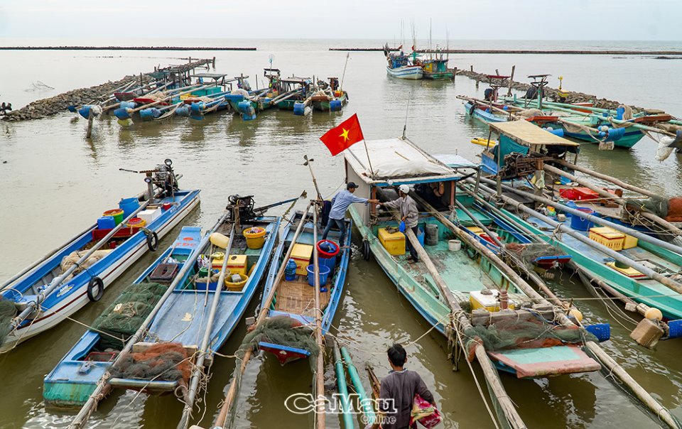 Cà Mau: Khởi động vụ mùa