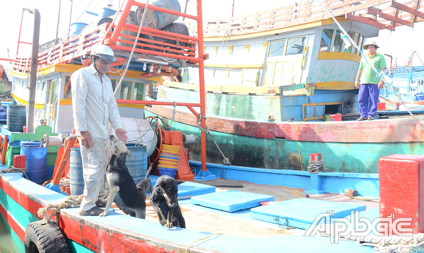 Tiền Giang: Ngư dân vùng Gò Công nô nức vươn khơi đầu năm