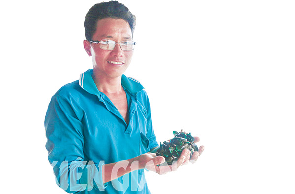 Đêm ở bàu sò ven biển