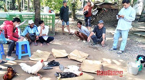 Hậu Giang: Thực hiện nghiêm cao điểm tấn công trấn áp các loại tội phạm