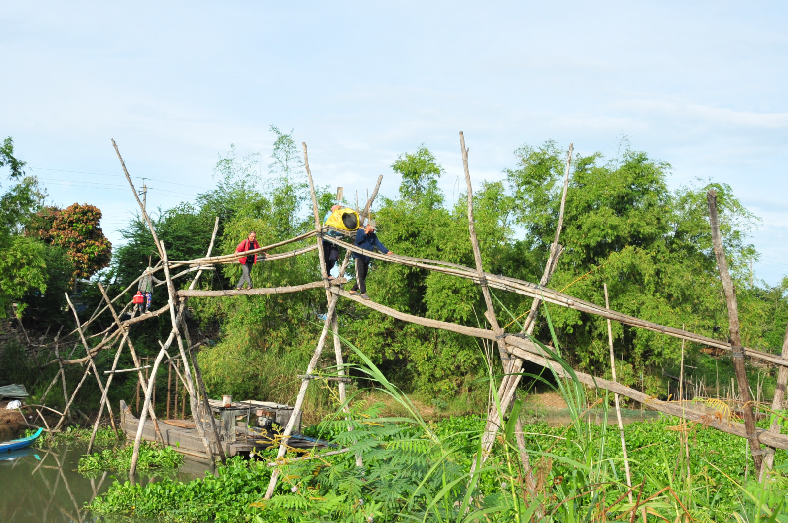 Cái cầu tre
