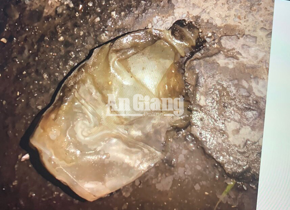 An Giang: Bắt đối tượng phóng hỏa đốt chủ nợ