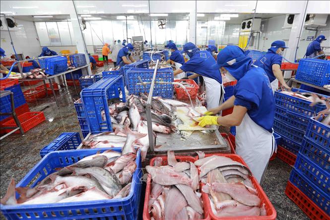 Hỗ trợ doanh nghiệp vượt qua khó khăn