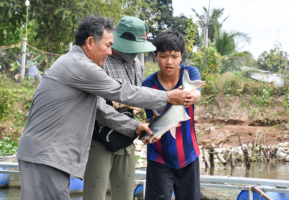Người nặng nợ với đàn cá ở sông Vàm Nao