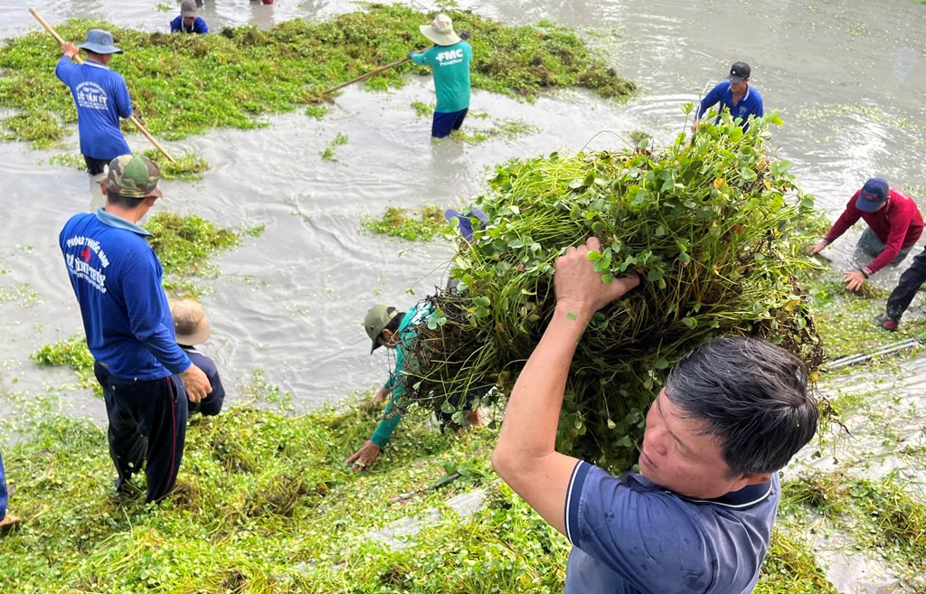 Chuyện những người đi thu hoạch dược liệu làm từ thiện