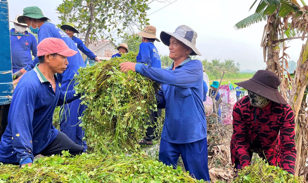 Chuyện những người đi thu hoạch dược liệu làm từ thiện