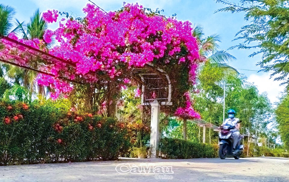 Cà Mau: Góp sức xây dựng làng quê