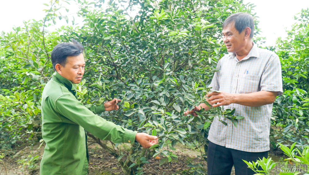 Cần Thơ: Bí thư Chi bộ gương mẫu, tận tụy
