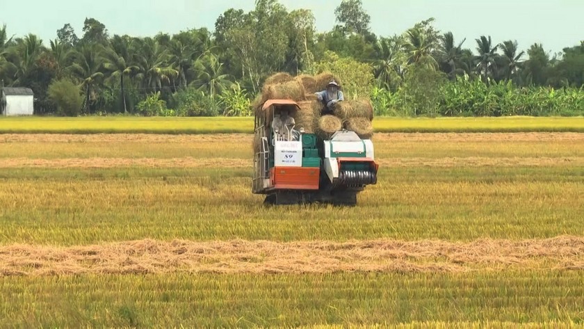 Giải pháp phòng, chống hạn, xâm nhập mặn cho người dân Bạc Liêu