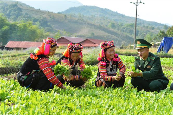 Cơ cấu lại nông nghiệp vùng trung du và miền núi phía Bắc Từng bước thoát  khỏi lõi nghèo  Báo Dân tộc và Phát triển