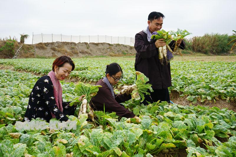 Phát triển du lịch nông nghiệp Bến Tre