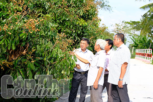 Cần Thơ: “Sắc thái” riêng xã nông thôn mới kiểu mẫu Ðịnh Môn