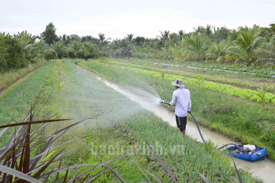 Trà Vinh: Cầu Kè năm 2023 tập trung nâng cao chất lượng nông sản và xây dựng OCOP