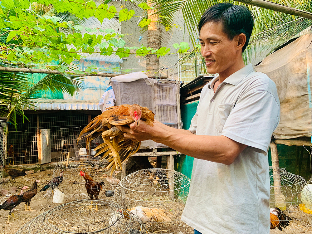 Triển vọng Mô hình Chăn nuôi Bò chuyên thịt thâm canh  Tạp chí Chăn nuôi  Việt Nam