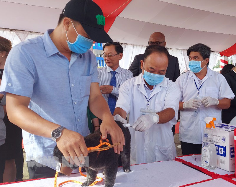 Bến Tre: Thêm 1 trường hợp tử vong do bệnh dại