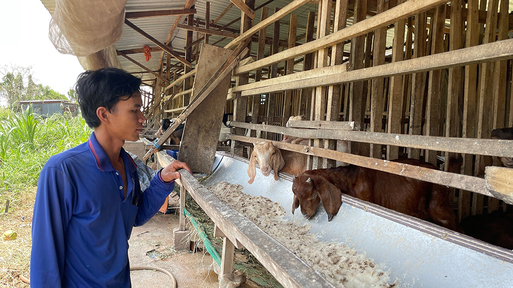 Phiêng Lủng phát triển mô hình chăn nuôi dê nhốt chuồng  Cổng thông tin  điện tử huyện Pác Nặm