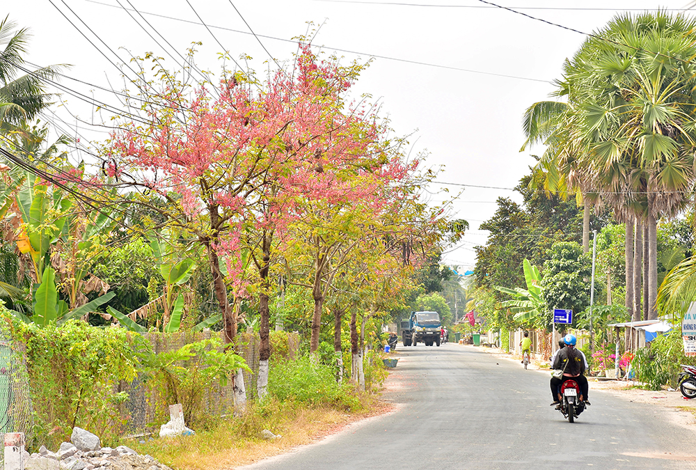 Sắc màu ô môi!