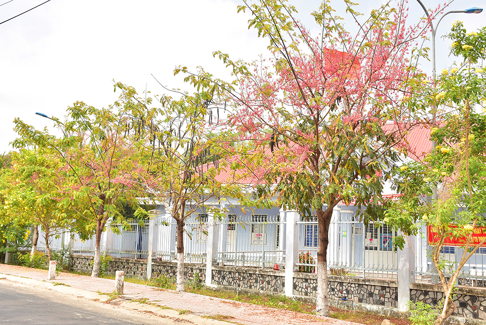 Sắc màu ô môi!