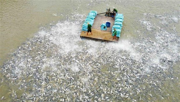 Chuyển đổi tư duy kinh tế nông nghiệp: Để nông dân là chủ thể