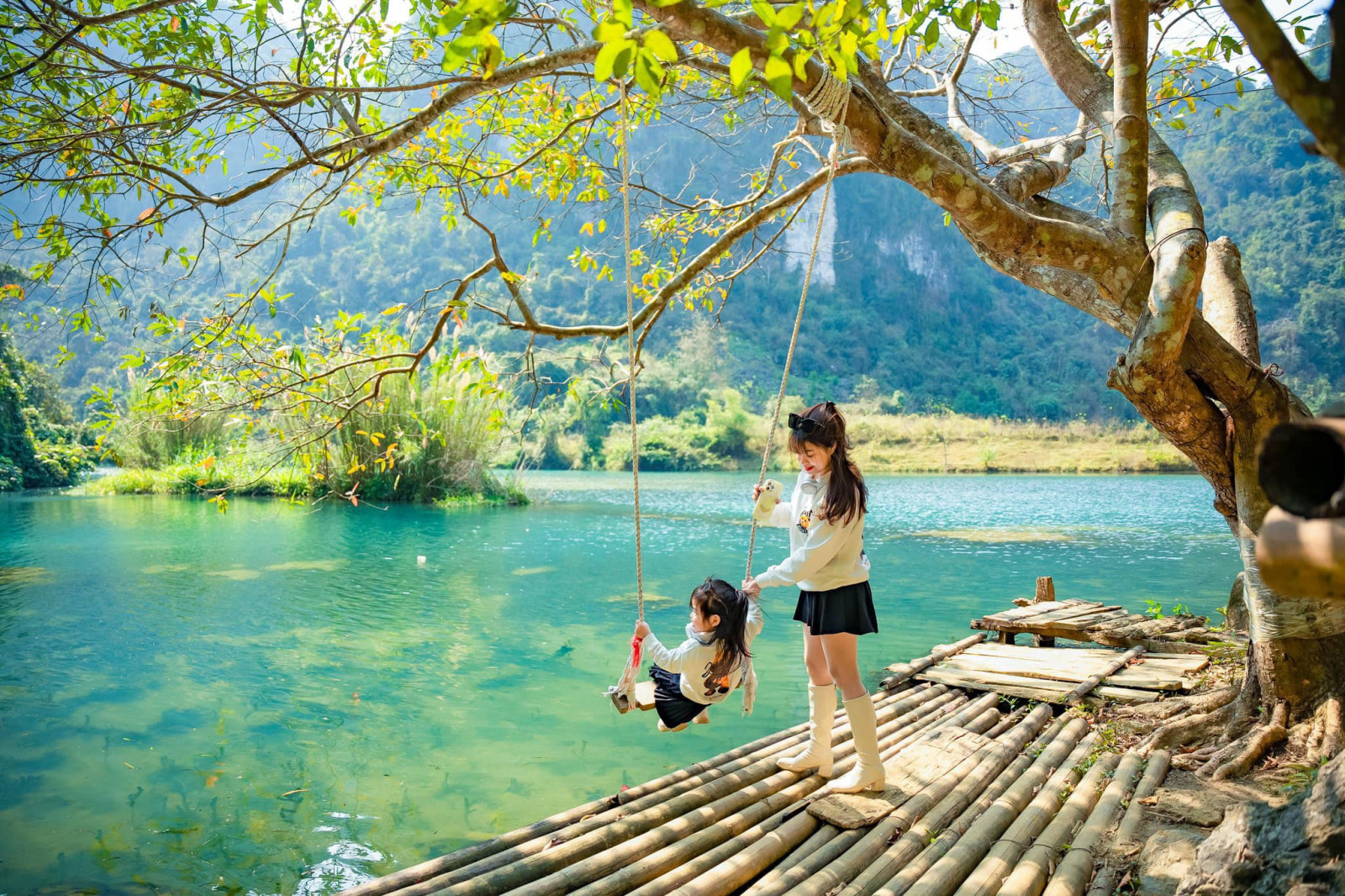 Cây phu thê 50 tuổi dáng độc lạ, du khách thích thú chụp hình ở Lạng Sơn