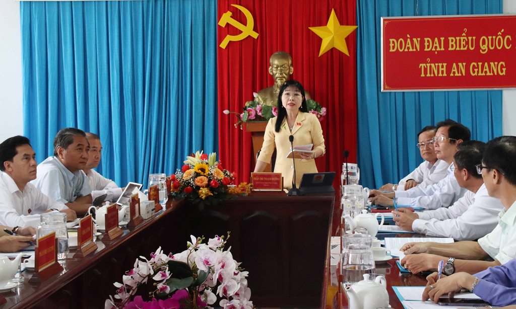 Đại biểu Quốc hội An Giang chất vấn Chánh án Tòa án nhân dân tối cao