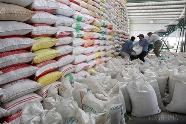 Hạt gạo “chuyển mình”, giá xuất khẩu đạt mức cao nhất thế giới
