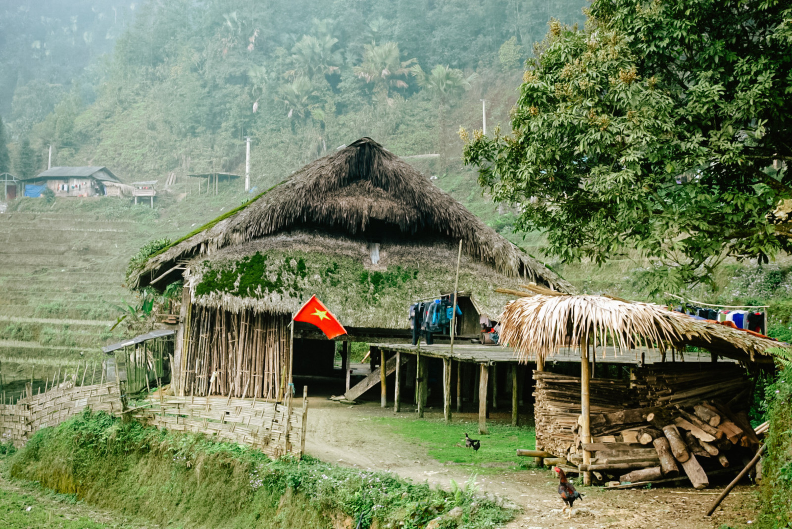 Những ngôi nhà 'phủ chăn' trên mái, giữ cho hè mát, đông ấm ở Hà Giang