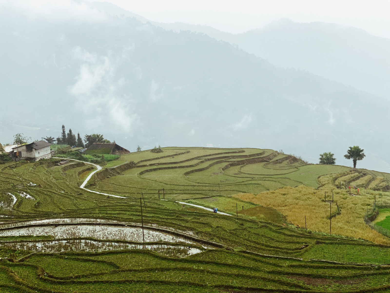 Những ngôi nhà 'phủ chăn' trên mái, giữ cho hè mát, đông ấm ở Hà Giang